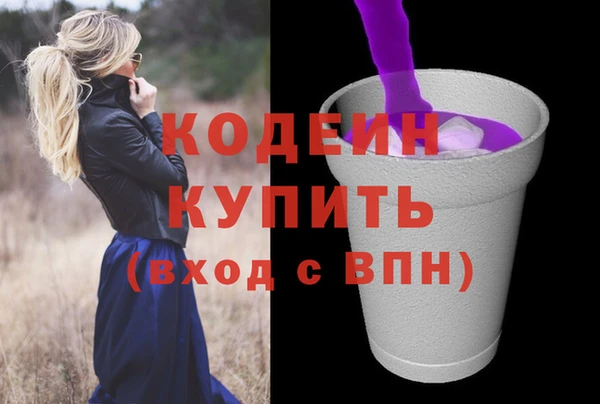стаф Ельня