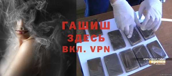 стаф Ельня