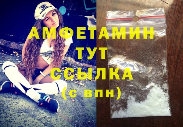 стаф Ельня
