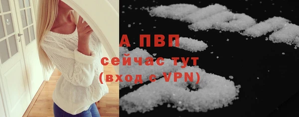 стаф Ельня