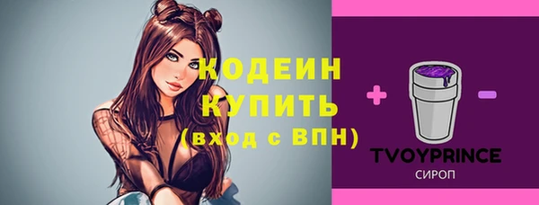 МДПВ Нефтегорск