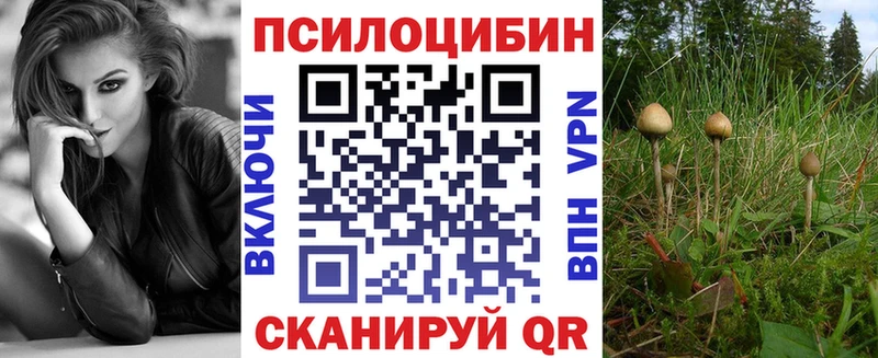 Галлюциногенные грибы Cubensis  где продают наркотики  Сенгилей 